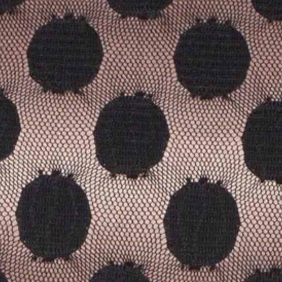 Eiza J Dot Mesh Fit and Flare Dress with pockets - Picture 6 of 15